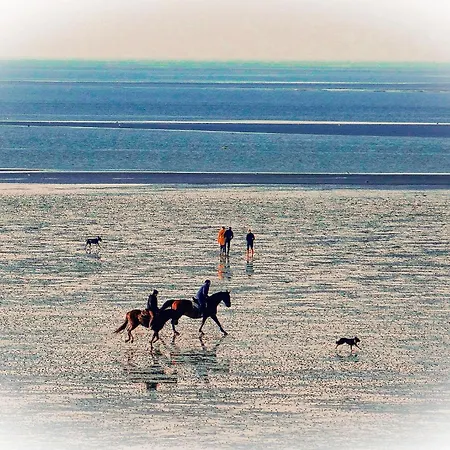 Haus Horizont Hz09 *